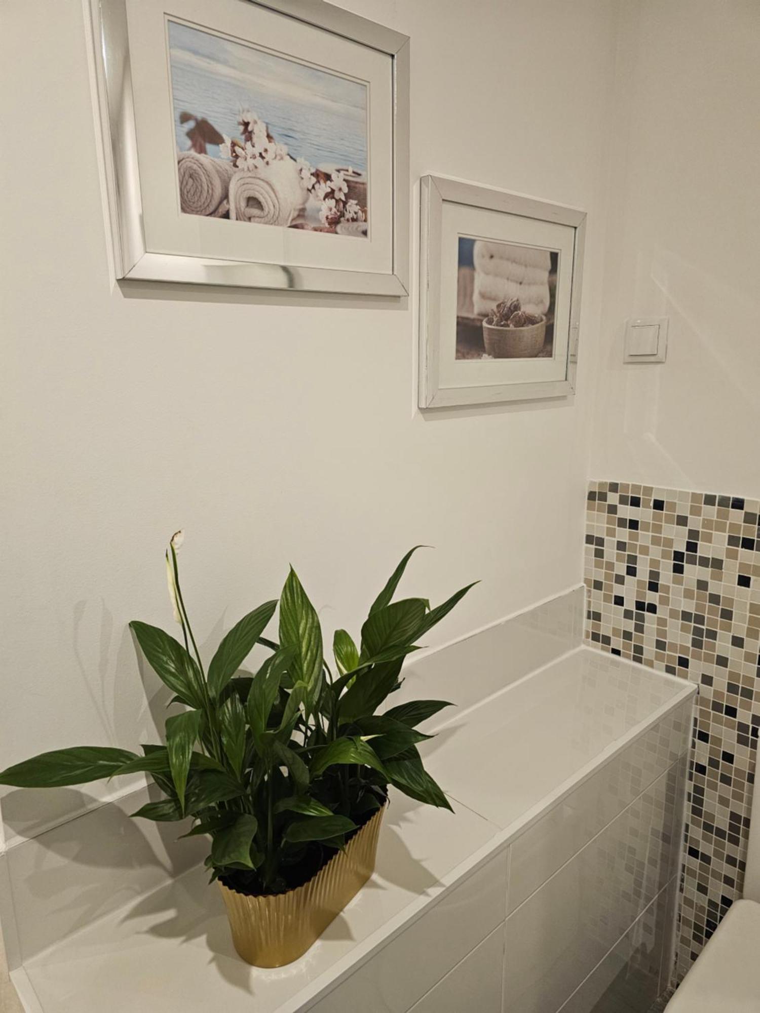 Alfama Secret Apartman Lisboa Kültér fotó